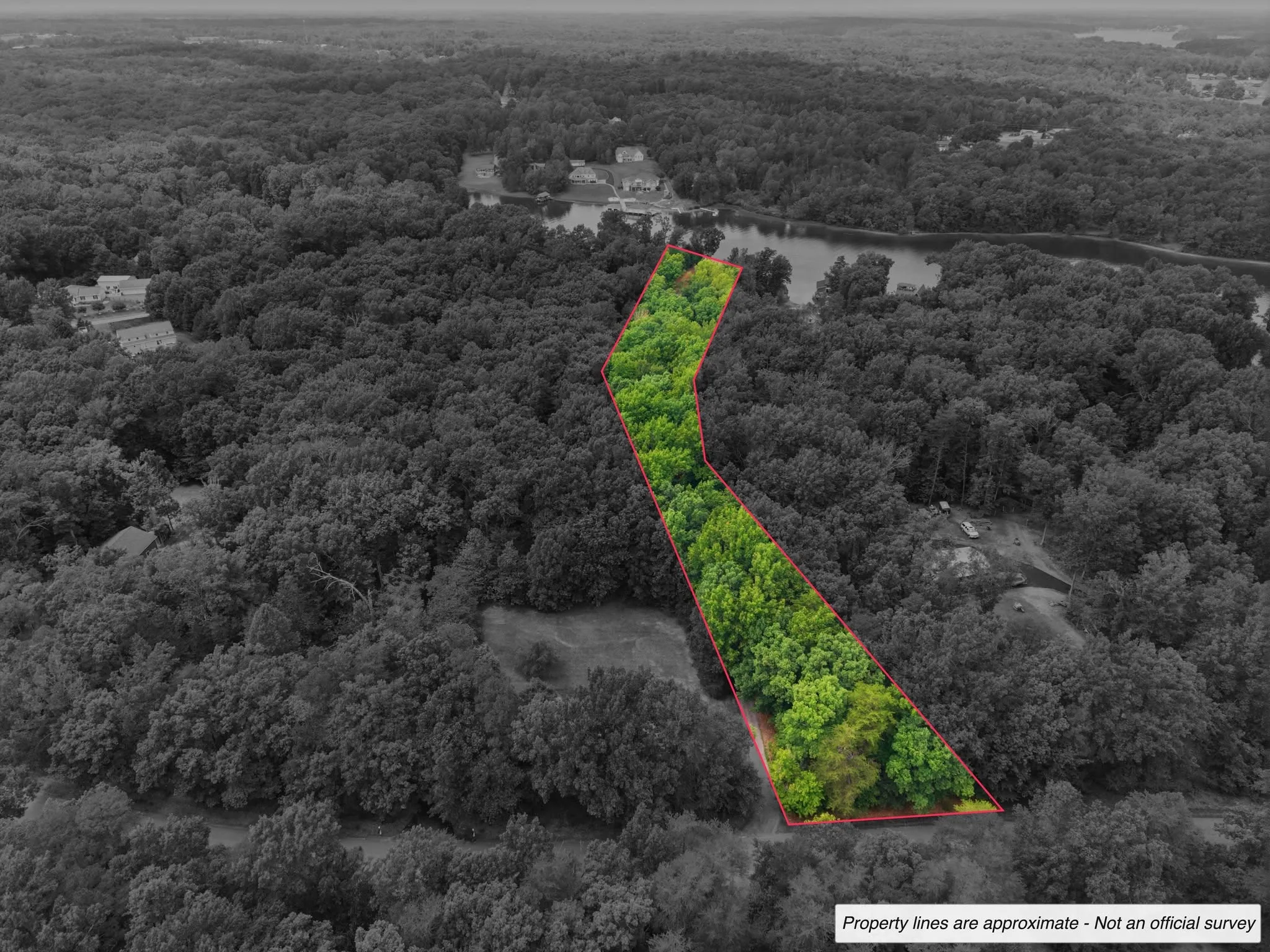 Aerial photograph with a wooded parcel shown in color and its boundary drawn over a greyscale background